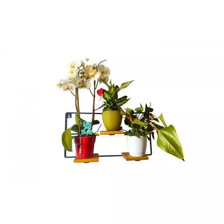 Kwietnik ścienny metalowy Triquetra z drewnianą podstawką